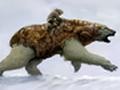 The Golden Compass trilogija - tiesiai iš ekranų