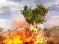 Juodojo žemyno liepsnose - Far Cry 2