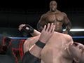 WWE SmackDown! vs. RAW Online 2010 metais